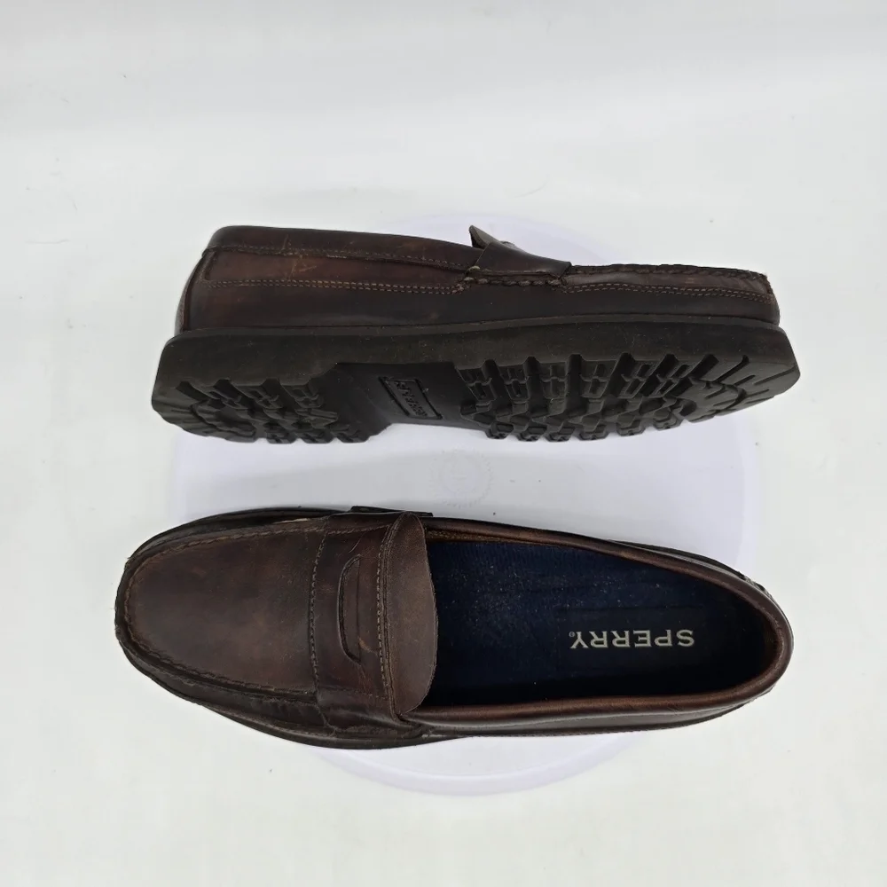 Sperry shoes men